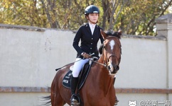 年轻漂亮老师高清线